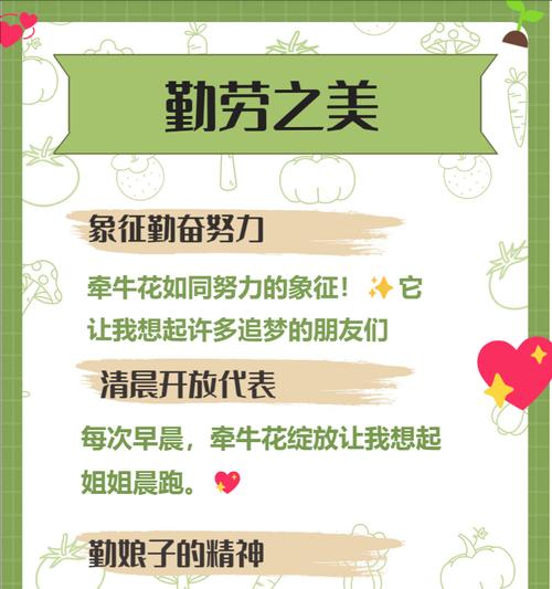 哪种花的花语是争夺？它象征着什么？