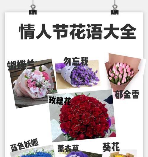 红花文殊兰的花语有哪些？它代表了什么？
