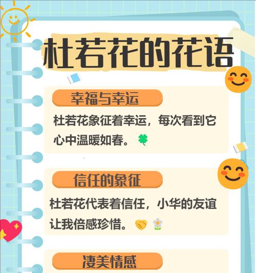 罕见花卉的花语有哪些独特之处？