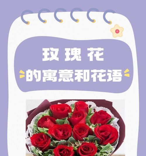 花卉的花语有哪些不同的含义？