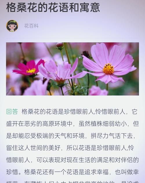 花卉的花语有哪些不同的含义？