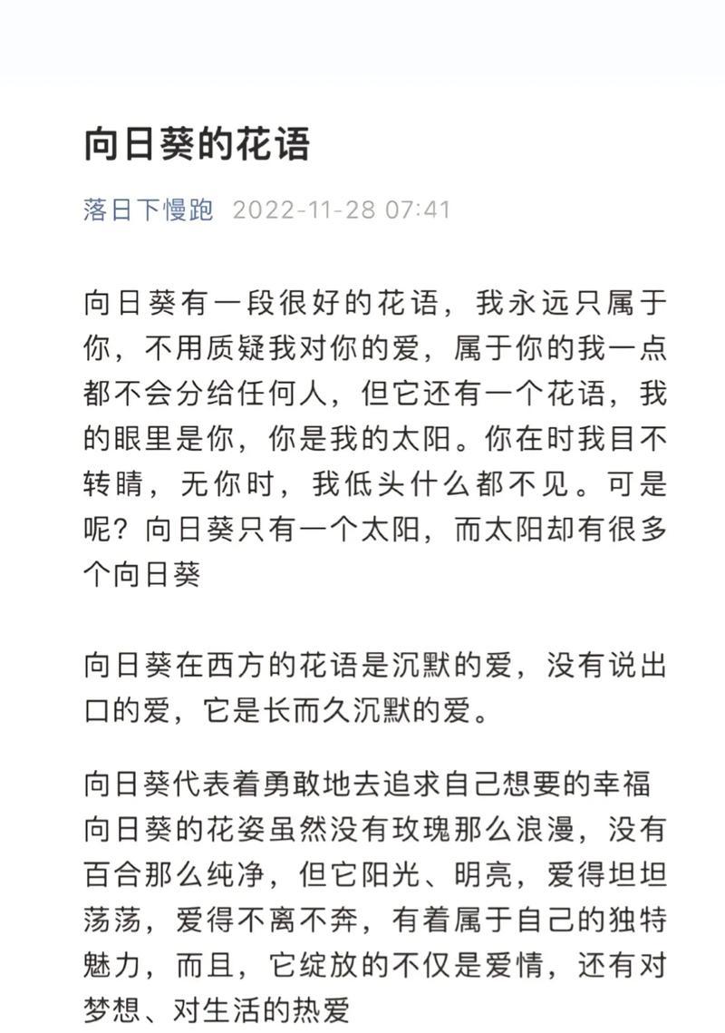 向日葵的花语表达了怎样的专注？
