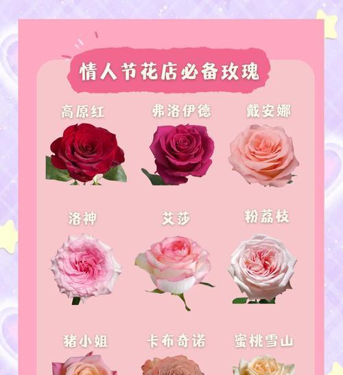 如何通过玫瑰花语进行情感推销？