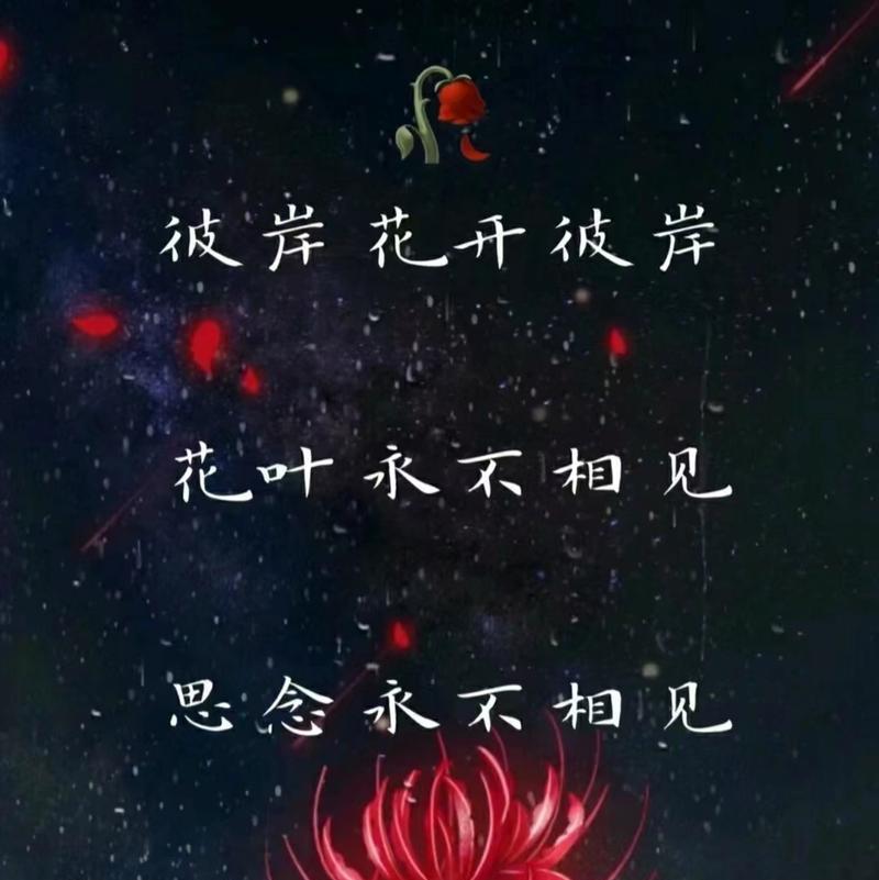 彼岸花的花语反映了怎样的性格？