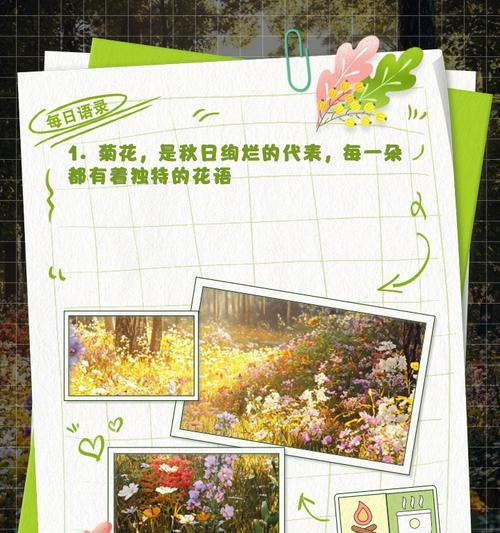 花与菊花的花语有何不同？