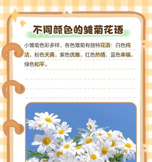 雏菊与红豆搭配的花语是什么？