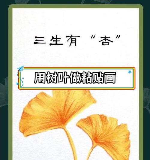 叶子的花语有哪些？它们代表什么意义？