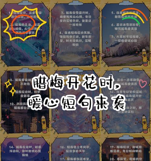 腊梅花在过年时的花语是什么？