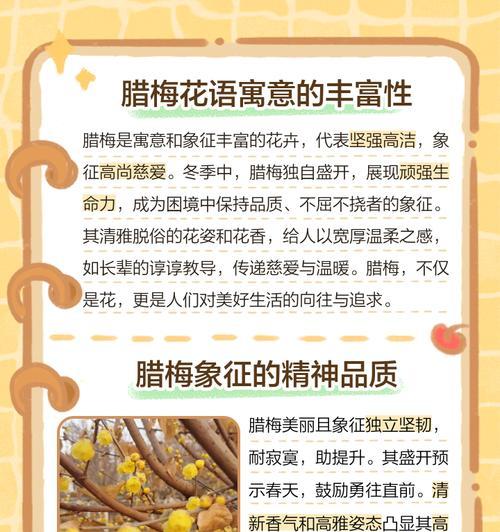 腊梅花在过年时的花语是什么？