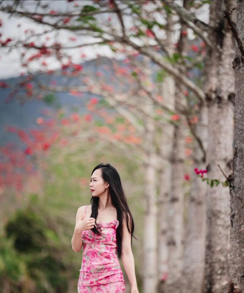 各省份的省花名称及其花语是什么？