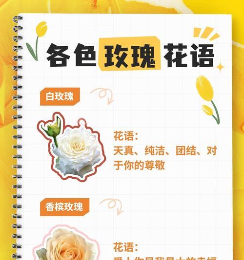 花语中含义美好的有哪些？如何表达爱意？