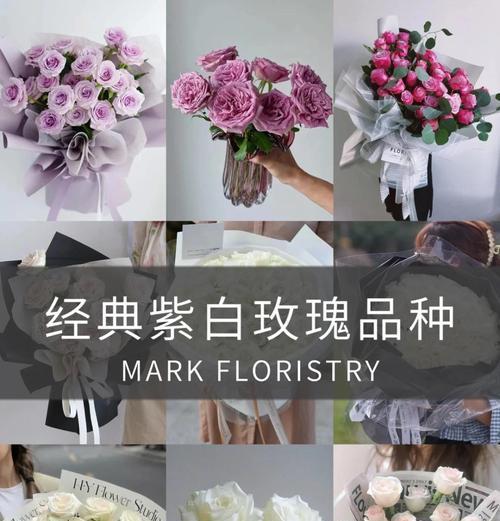 粉色和紫色花语分别代表什么？如何选择？