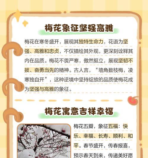 花花语和寓意表如何制作？有哪些花语和寓意？