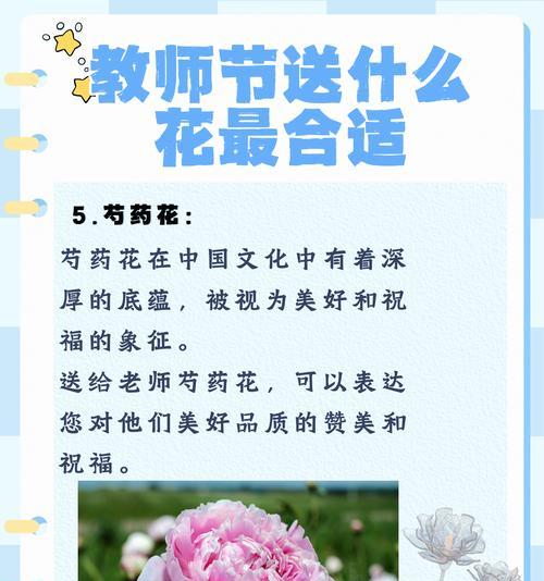 花语是记住的花有哪些？如何表达感激之情？