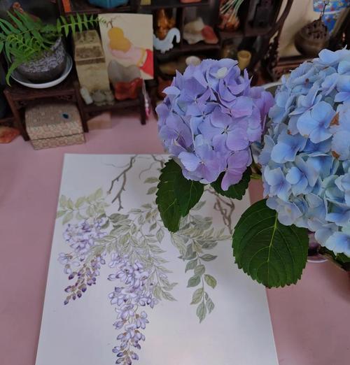 紫叶的抒情花语是什么？如何表达情感？
