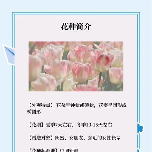 比较高傲的花语有哪些？如何表达自信？