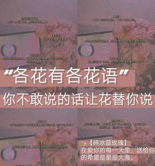 花语为忠贞的花有哪些？如何表达忠诚？