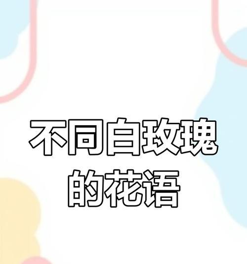 白玫瑰的花语有哪些？