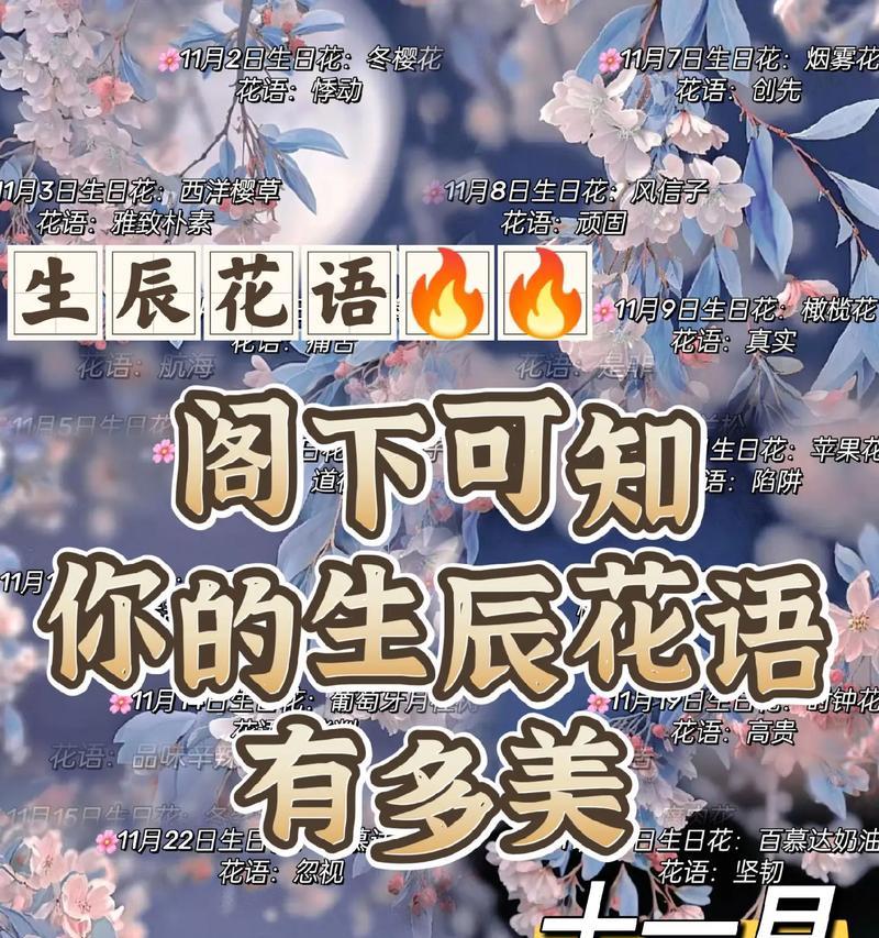 哪些花有多个花语？