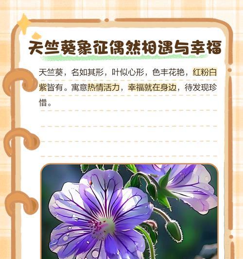 粉红天竺葵代表什么花语？