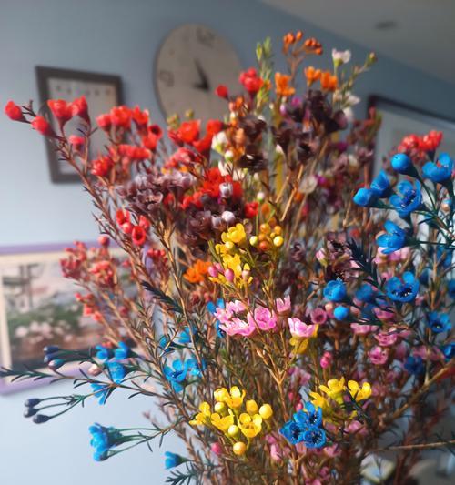 腊梅花语及其花期是怎样的？