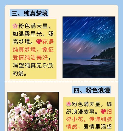 满天星的花语用日文怎么说？