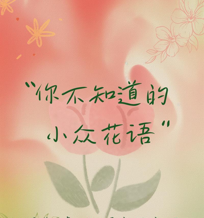 野雏菊花代表什么花语？