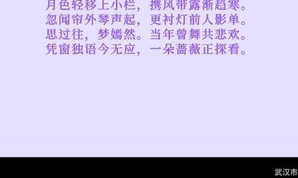 蔷薇花的花语语录有哪些？