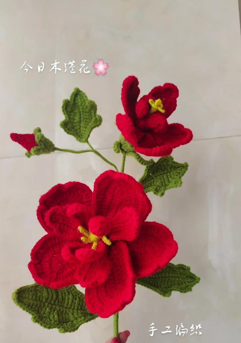 木槿花的花语应该怎么读？