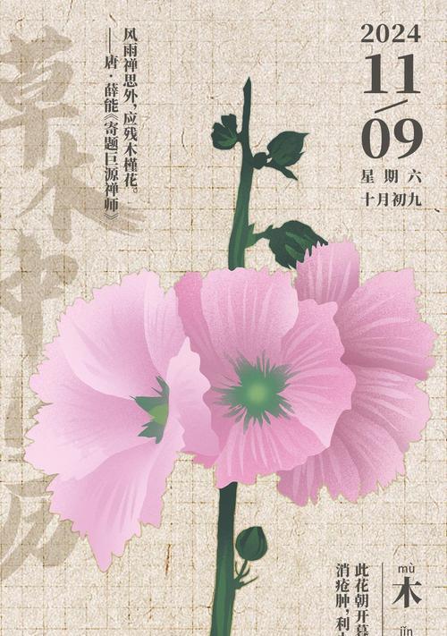木槿花的花语寓意有哪些？