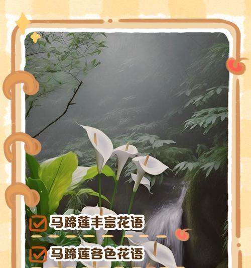 马蹄莲花语彩色是什么意思？