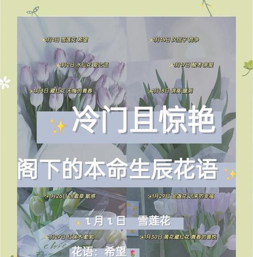 藏红花的花语是什么？