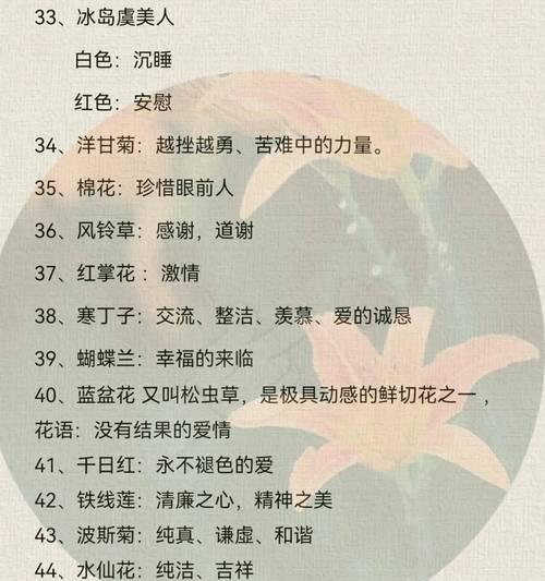 哪种花的花语代表美好？