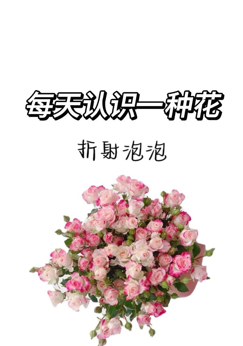 如何用花语表达说出口的爱？