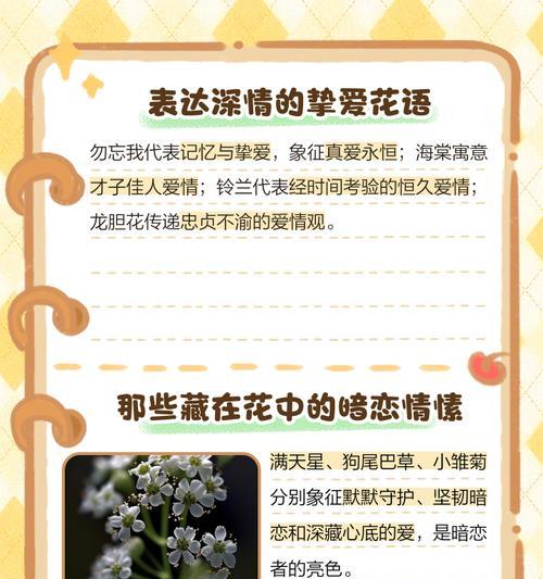 如何用花语表达说出口的爱？