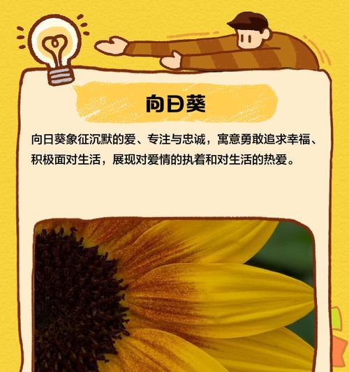 花语是教导的花有哪些？它们如何启发我们？