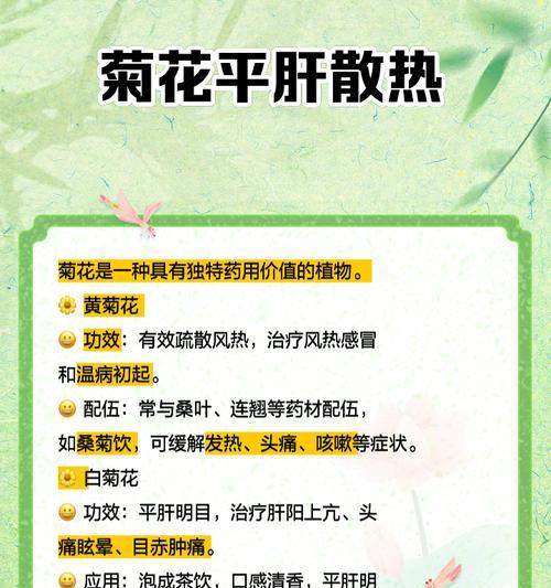 菊花花语及故事有哪些？它们如何反映菊花的文化意义？