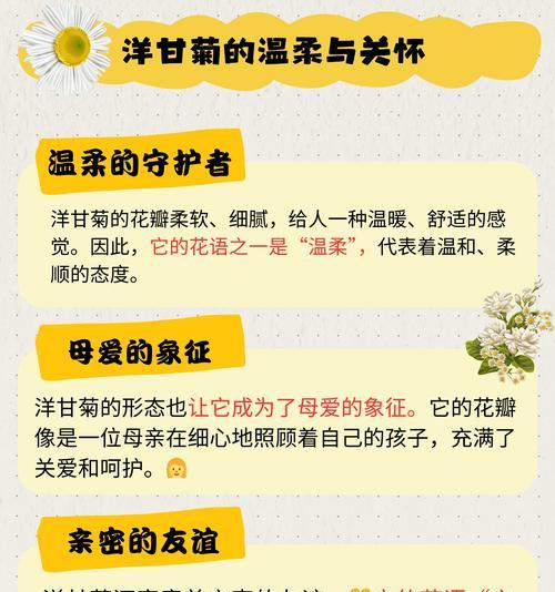 向的花语和寓意是什么？它在花语中代表什么？