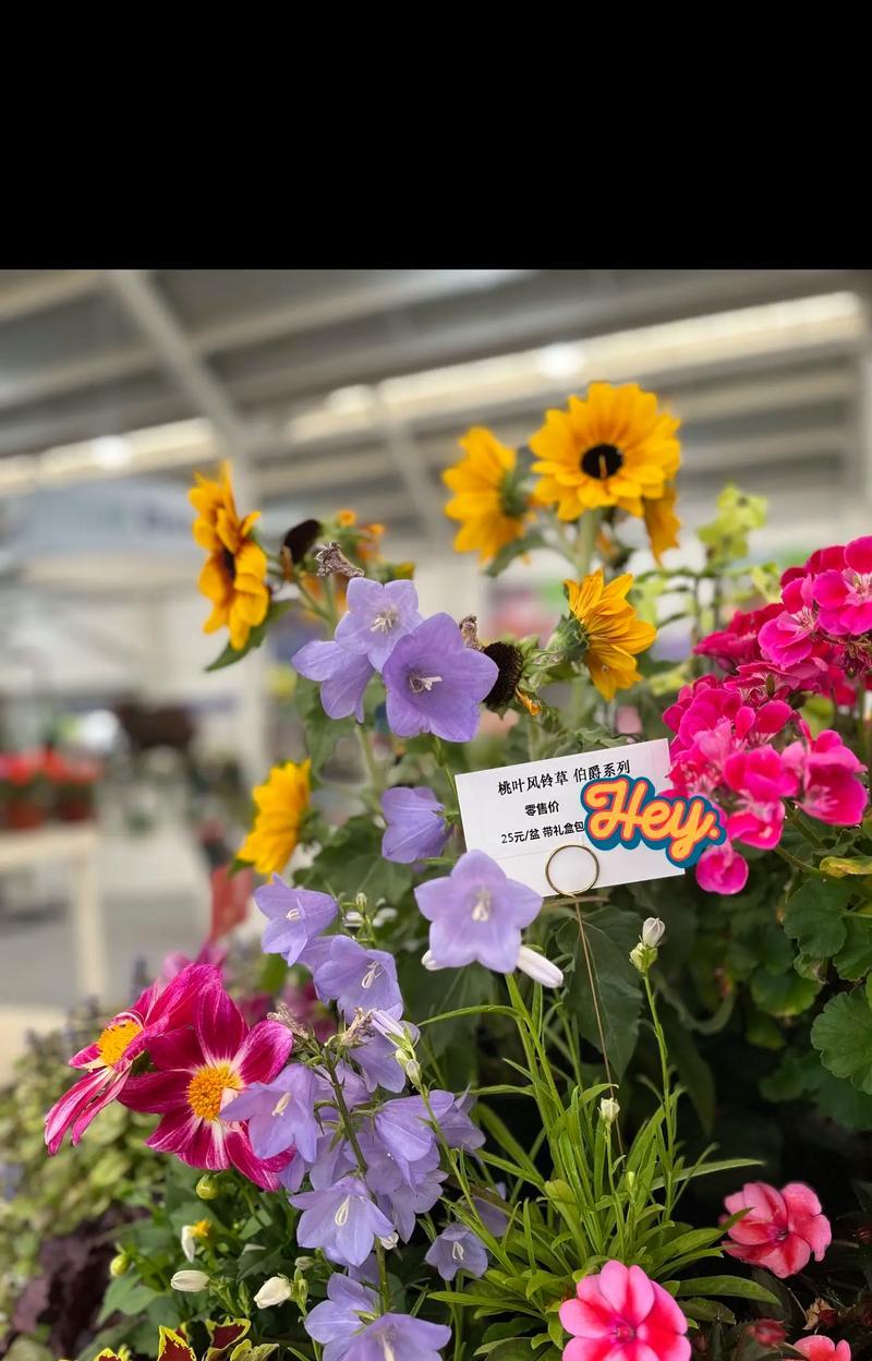 花草品种名称是什么？如何识别不同花草品种？
