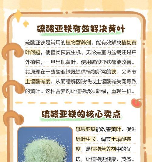植物叶子发黄的原因是什么？如何解决植物叶子变黄的问题？