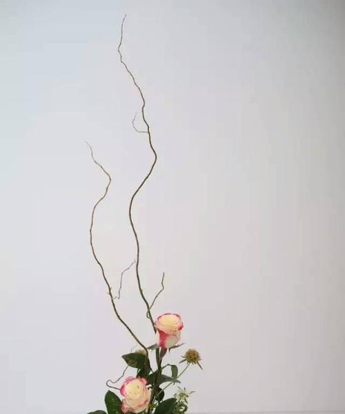 剑山插花怎么插？剑山插花的技巧是什么？