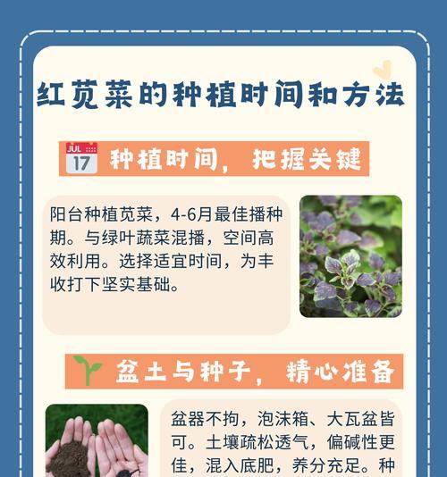 青菜播种的最佳时机和方法？