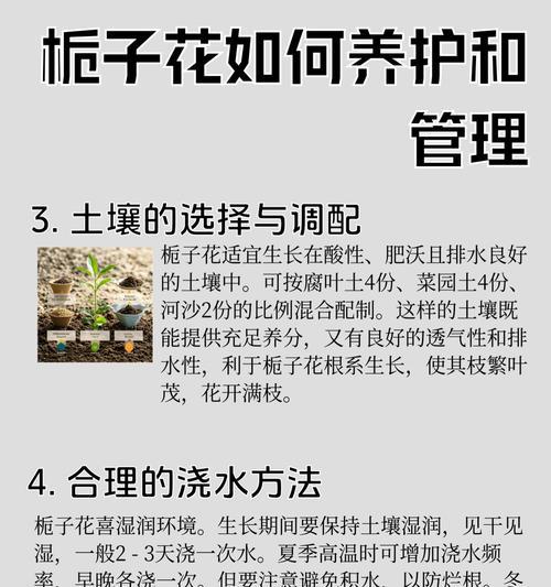 换盆栀子花怎么浇水？栀子花换盆后的浇水技巧是什么？