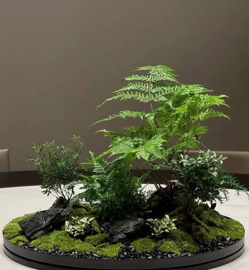 什么苔藓适合室内装饰？苔藓的养护方法是什么？
