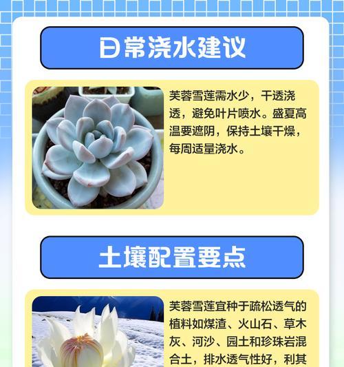 水芙蓉花的养殖方法是什么？怎样才能使其开出美丽的花朵？