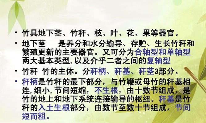 竹子移栽的最佳时机是什么时候？