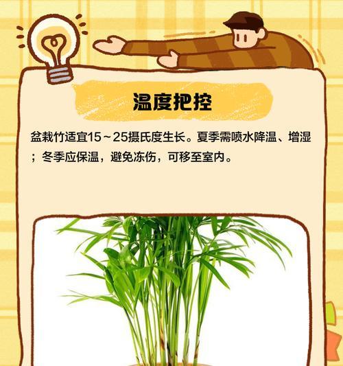 竹子移栽的最佳时机是什么时候？