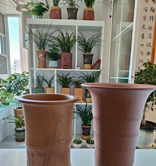 种兰花用什么盆最好？兰花种植的盆器选择技巧是什么？