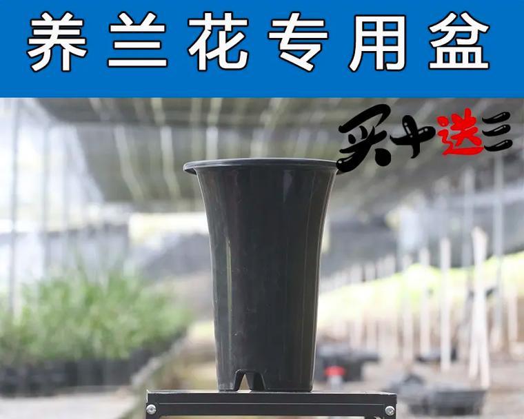 种兰花用什么盆最好？兰花种植的盆器选择技巧是什么？