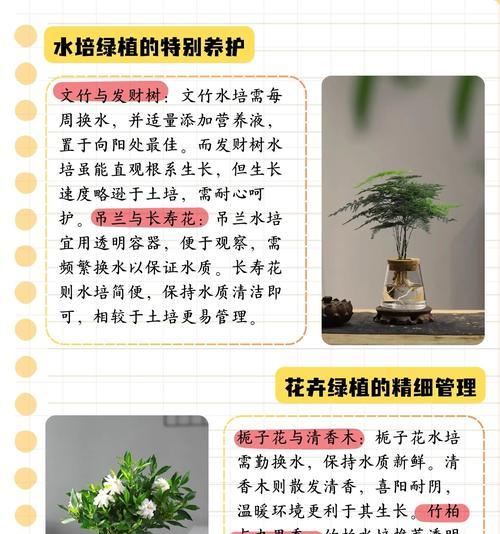 水培植物换水的正确步骤是什么？多久换一次水最合适？